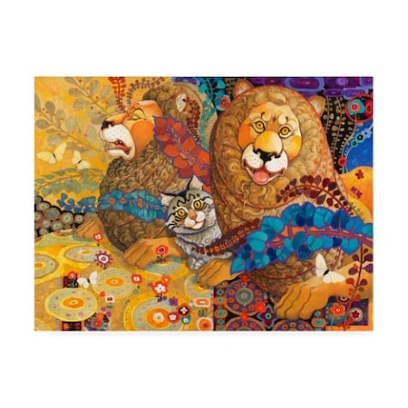 David Galchutt 'Leonine Tapestry' Canvas Art,24x32